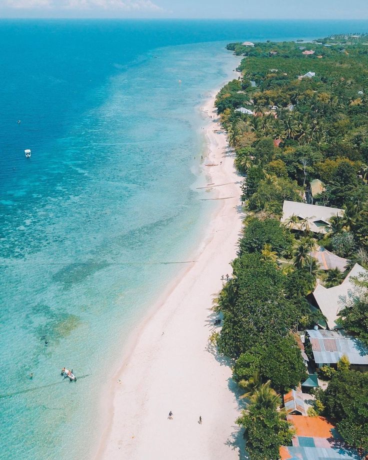 Moalboal beach/Sardines Watching/Turtle Watching and Canyoneering with Kawasan falls